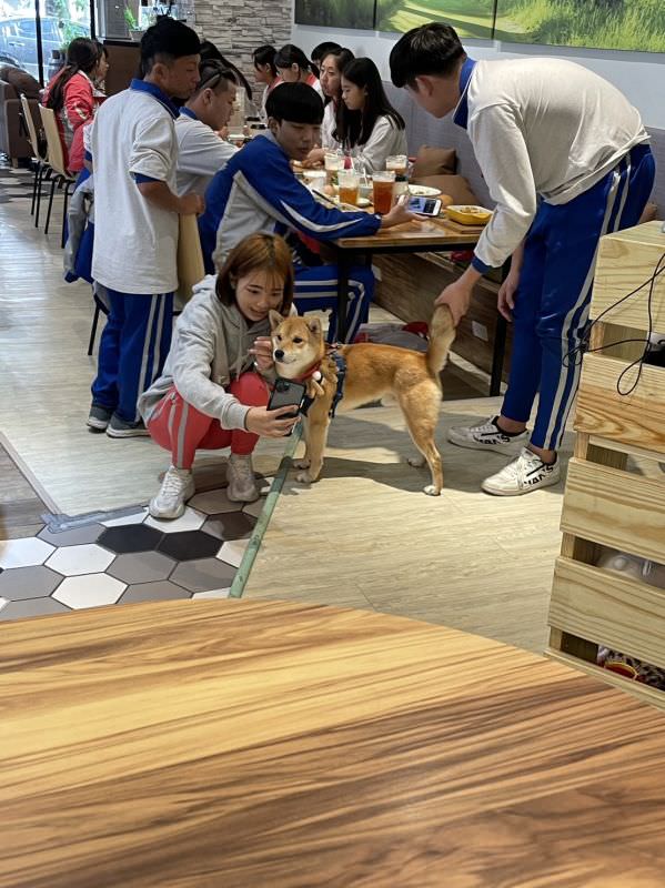 森林小徑精誠店對寵物超友善